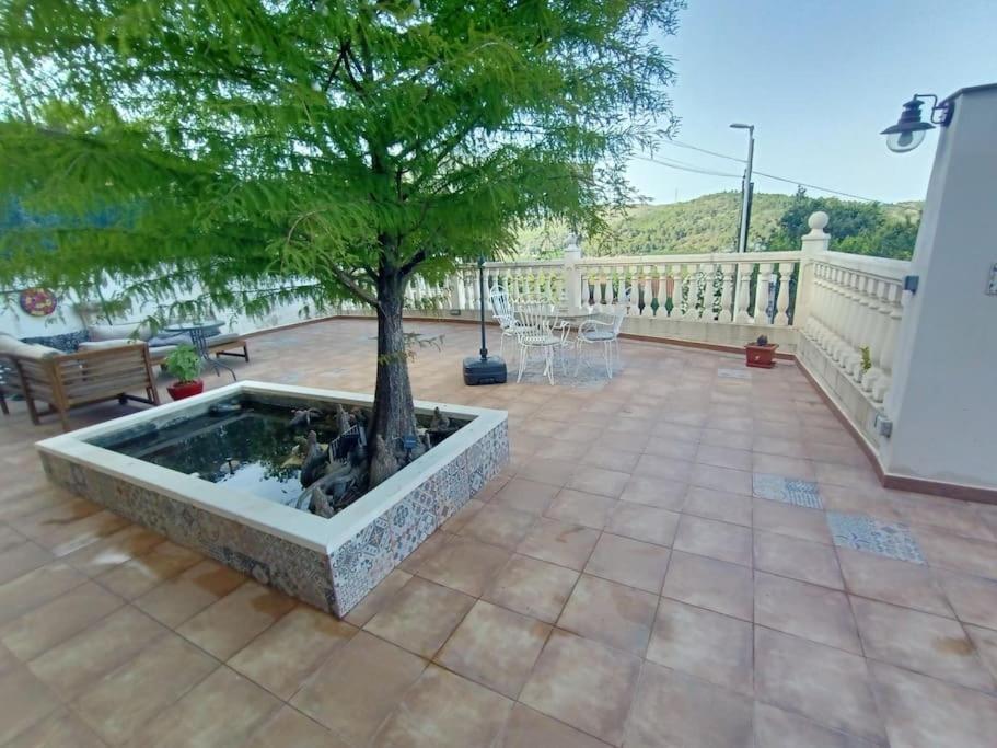 Villa Falconera Apartaments, Gandia A Las Faldas De La Montana Εξωτερικό φωτογραφία