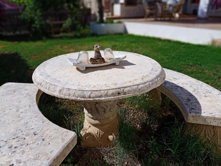 Villa Falconera Apartaments, Gandia A Las Faldas De La Montana Εξωτερικό φωτογραφία