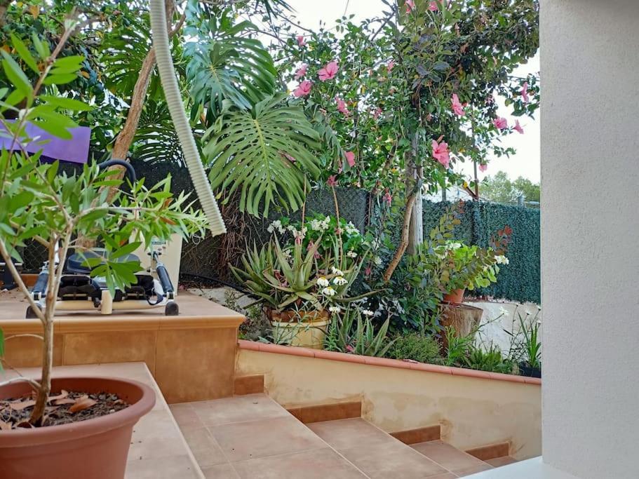 Villa Falconera Apartaments, Gandia A Las Faldas De La Montana Εξωτερικό φωτογραφία