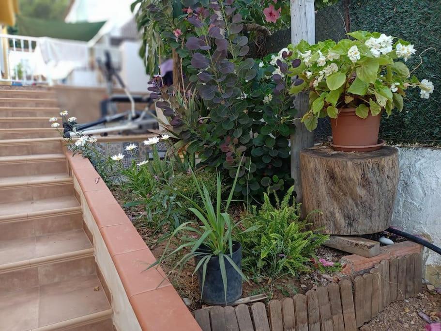 Villa Falconera Apartaments, Gandia A Las Faldas De La Montana Εξωτερικό φωτογραφία