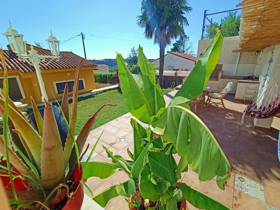 Villa Falconera Apartaments, Gandia A Las Faldas De La Montana Εξωτερικό φωτογραφία