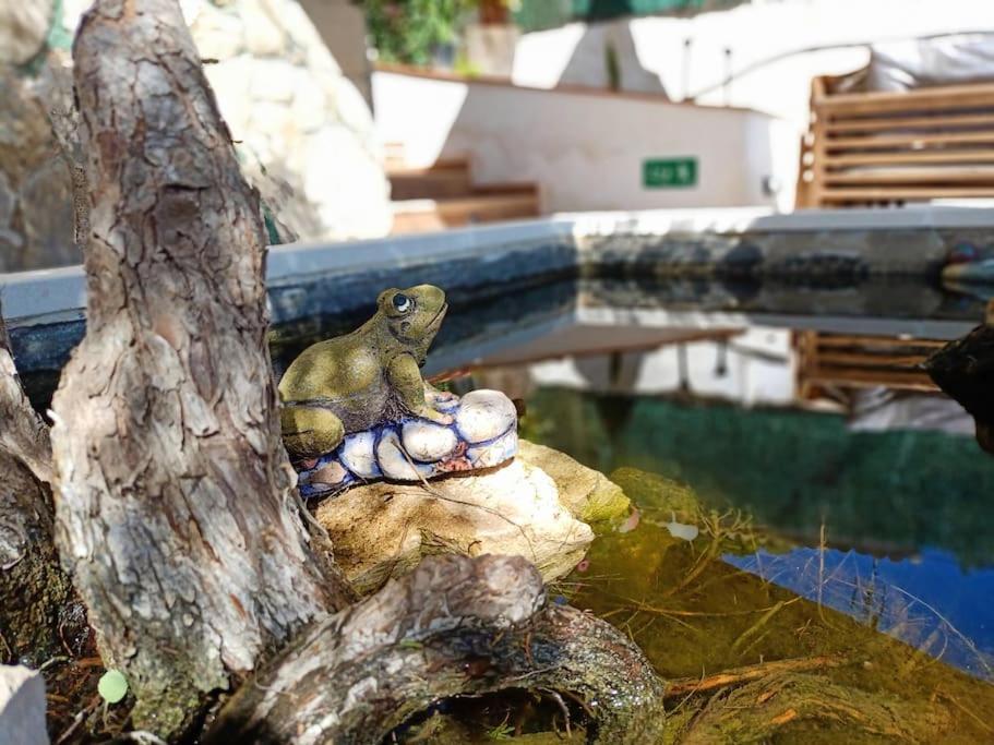 Villa Falconera Apartaments, Gandia A Las Faldas De La Montana Εξωτερικό φωτογραφία