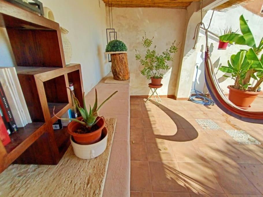 Villa Falconera Apartaments, Gandia A Las Faldas De La Montana Εξωτερικό φωτογραφία