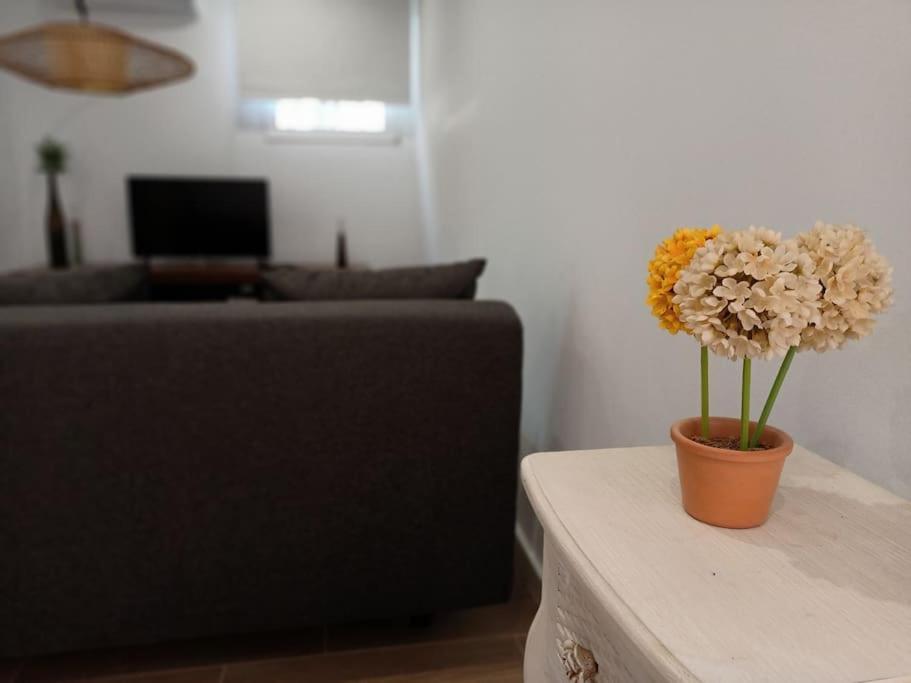 Villa Falconera Apartaments, Gandia A Las Faldas De La Montana Εξωτερικό φωτογραφία